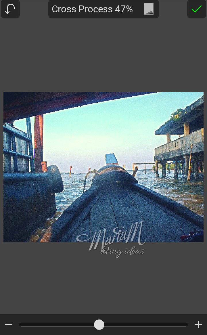 picsaypro